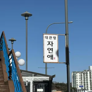 대관령자연애 리뷰 사진