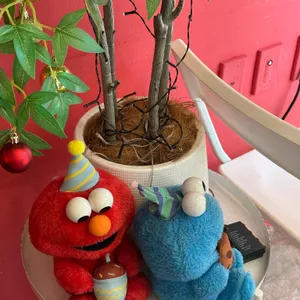 한입당 리뷰 사진