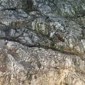 피오레토 리뷰 사진