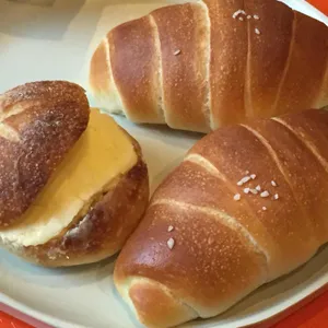 행복한느림보 사진