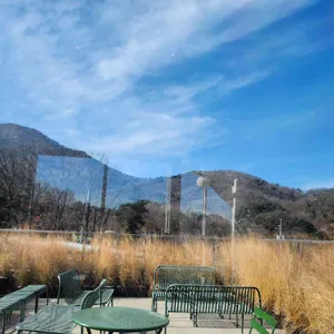 시유당 리뷰 사진