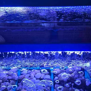 비풍초해산물 리뷰 사진