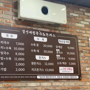 일산비빔국수&돈가스 리뷰 사진