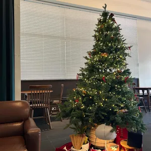 고페르 대표 사진