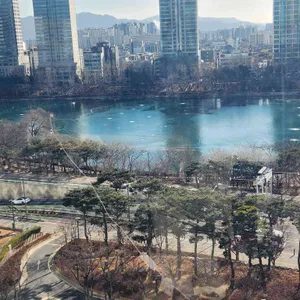 아그라 리뷰 사진