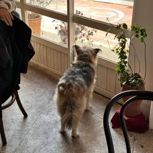 미들노츠 리뷰 사진