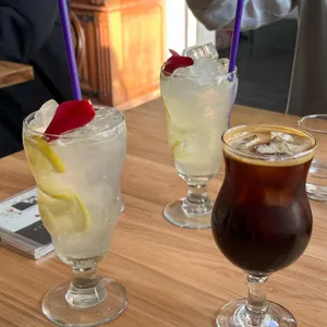 미들노츠 대표 사진