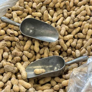 파이브가이즈 사진