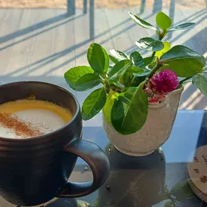 자작나무숲의 투데이 리뷰 사진