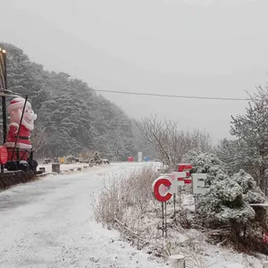 자작나무숲의 투데이 리뷰 사진