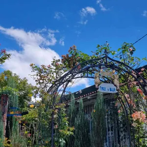 트리인블루 리뷰 사진