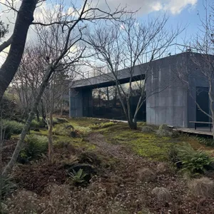 베케 리뷰 사진