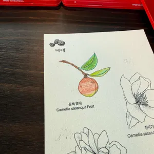 베케 리뷰 사진