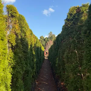 베케 리뷰 사진