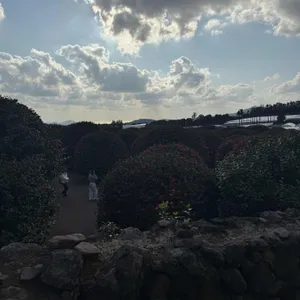 동백포레스트 리뷰 사진