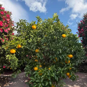 동백포레스트 리뷰 사진