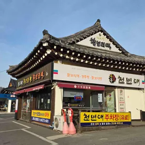 천년애 대표 사진