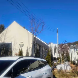 그린케이브 리뷰 사진