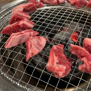 은행나무갈매기 리뷰 사진