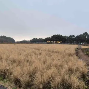 카페 글렌코 리뷰 사진