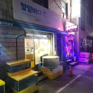 양양바다 리뷰 사진