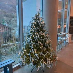 부푼 대표 사진