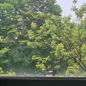 카페서희 대표 사진