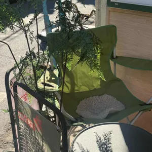 늘보카페 대표 사진