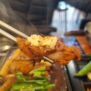 수탉 대표 사진