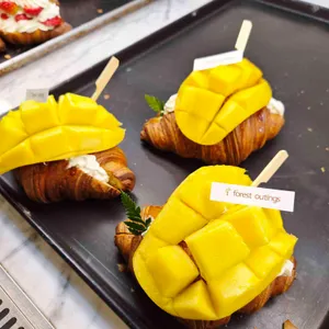 포레스트 아웃팅스 리뷰 사진