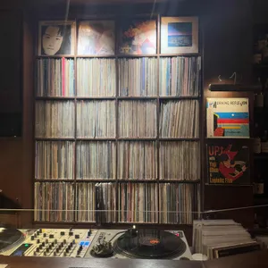 타이거디스코 대표 사진