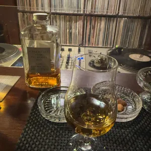 타이거디스코 사진