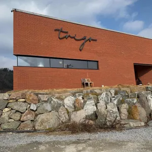 트리고 리뷰 사진