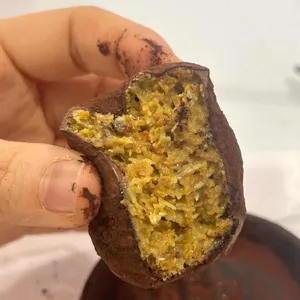 피피베이커리 리뷰 사진