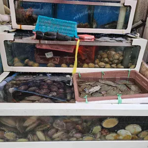 조개구이 우리동네 리뷰 사진