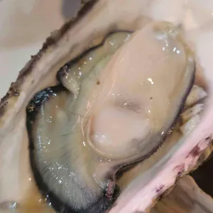 조개구이 우리동네 리뷰 사진