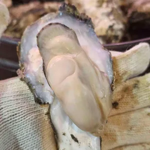 조개구이 우리동네 리뷰 사진