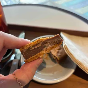 코야드 리뷰 사진