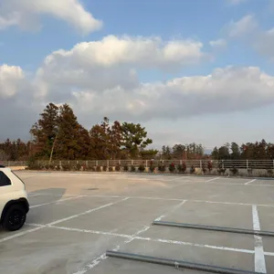 중문보말칼국수 리뷰 사진