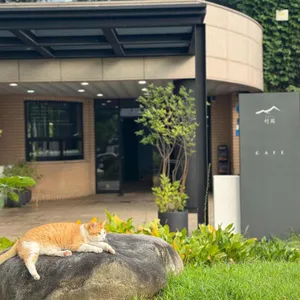 카페서희 리뷰 사진