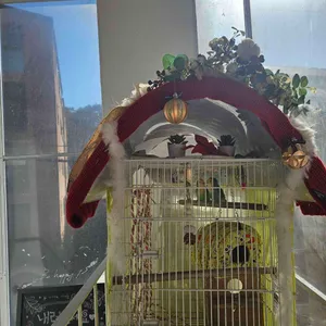 사이숲 리뷰 사진