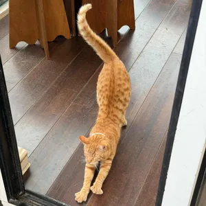 카페리 구좌 카페 평대리해변 세화 소품 리뷰 사진