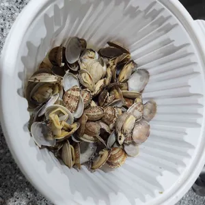 승리 손칼국수 리뷰 사진