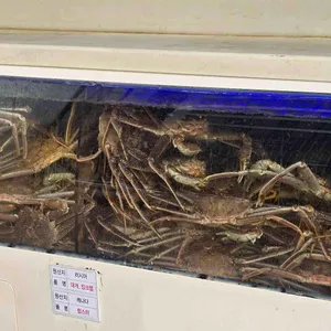 크래버대게나라 리뷰 사진