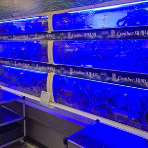 크래버대게나라 리뷰 사진