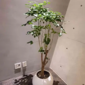 모담다이닝 리뷰 사진