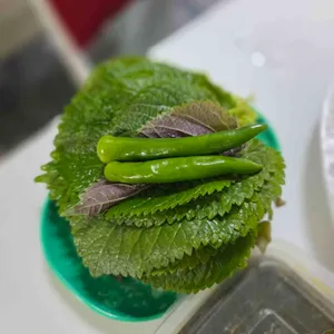 사량도 자연산횟집 리뷰 사진