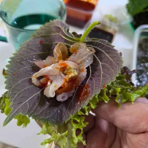 사량도 자연산횟집 리뷰 사진