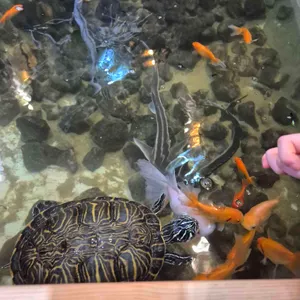 작은연못 리뷰 사진