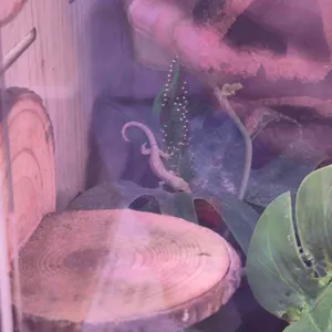 작은연못 리뷰 사진